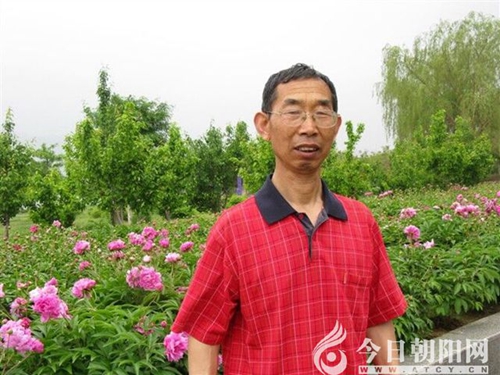 點擊查看大圖