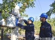 優(yōu)質(zhì)電成就“朝陽大棗”金色名片（李娜 邊琳）