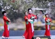 點贊！他們用文藝演出喜迎國慶