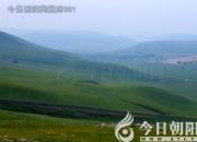 樹(shù)姿百貌——掌葉榕（陳玉民）